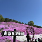 ひがしもこと芝桜公園売店 - 