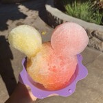 Pāpālua Shave Ice - 