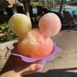 Pāpālua Shave Ice - 