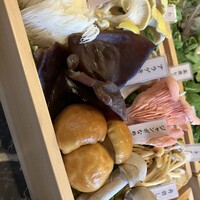 シャングリラズシークレット 銀座店 - 