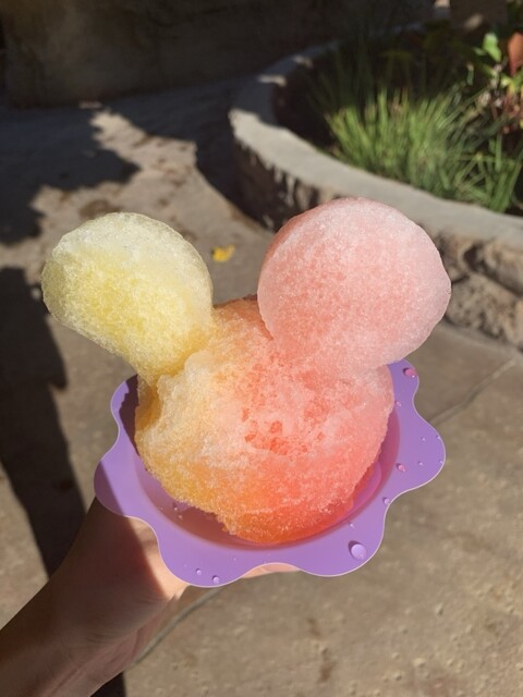 Pāpālua Shave Ice （パパルア・シェイブ・アイス） - コオリナ