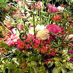 銀座アスター ベルシーヌ日比谷 - こんな素敵な花が飾ってありました