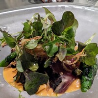 GapricE - 
