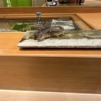 鮨　臥龍 - 