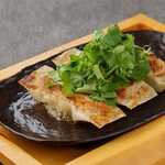 Hotplate coriander Gyoza / Dumpling