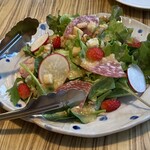 bistro アナログ舎 - こだわり野菜の季節の野菜のサラダ/グレープフルーツのドレッシング