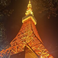 ワカヌイ グリル ダイニング バー 東京 - 