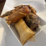 ロブ フォートンズ - 