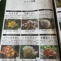 シャングリラズシークレット 銀座店 - 