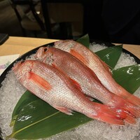 泉岳寺門前 紋屋 - 
