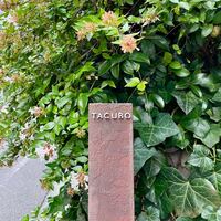 TACUBO - 