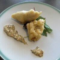 COLONIAL BEACH 横浜ハンマーヘッド - 