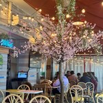 Sakura Kafe Ando Resutoran Ikebukuro - 