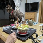 パティスリー ジュジュ ボワット - 食べてみた