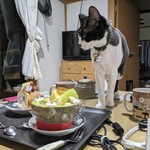 パティスリー ジュジュ ボワット - 食べてみた