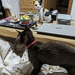 パティスリー ジュジュ ボワット - 食べてみた