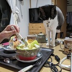 パティスリー ジュジュ ボワット - 食べてみた