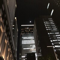 懐石料理 はし本 - 