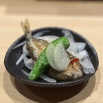 鮨 つきうだ - 稚鮎