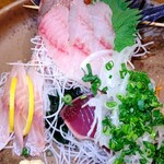 いざかや 漁火 - 