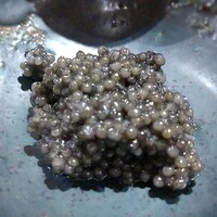 bb9 - 焼きキャビア