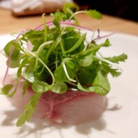 bb9 - 和歌山天然シマアジ