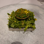 レストラン ナズ - 朝摘みの菜の花の茎、辛子、菜の花の蜂蜜、菜の花の生オイル、発酵させた金柑の皮を合わせて、菜の花オイルの搾りかすのパウダーに玉子とバターを加えたキッシュ