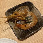 Hokkaidou Maruha Sakaba - ボタン海老醤油漬け