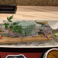 対馬のどぐろとイカ活き造り 博多 魚蔵 都ホテル店 - 