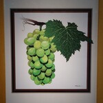 ラウンジ マスカット - シャインマスカット：2024/06/01