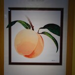 ラウンジ マスカット - 白桃：2024/06/01