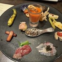 オッジ ダルマット 西麻布店 - 