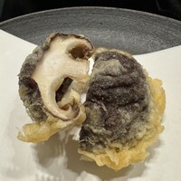 天雅 - 