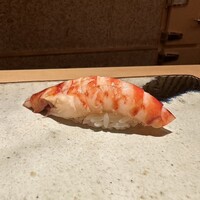 鮨 さいとう - 車海老