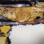 鯖の助 - 2024年5月