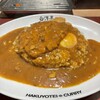 旨辛カレー専門店 白洋亭