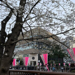 スターバックス リザーブ ロースタリー トウキョウ - 桜の時期（200組待ち）