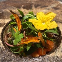 アニエルドール - 