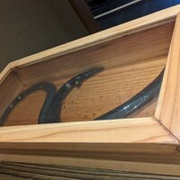 にょろ助 銀座 - 