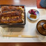 Unagi Ikeda - 