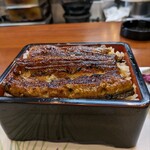 Unagi Ikeda - 