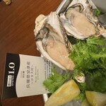 THE CAVE DE OYSTER - 