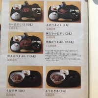 ひつまぶし名古屋備長 マロニエゲート銀座1店 - 