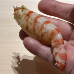 くるますし - 愛媛産車海老