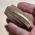 くるますし - 八幡浜朝取れエボダイ