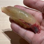 くるますし - 愛南町産縞鯵 泳がせ神経締め四日寝かせ