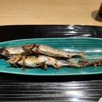 富小路 やま岸 - 