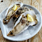 光る海 - 生牡蠣 中サイズ
