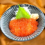 光る海 - イクラ丼