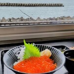 光る海 - 光らない海